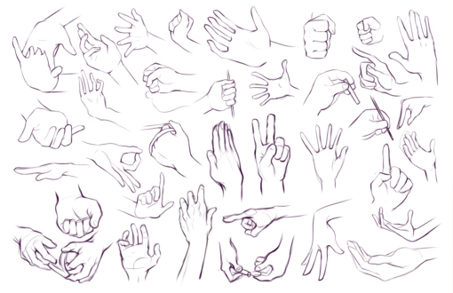 Anatomical Studies - Hands